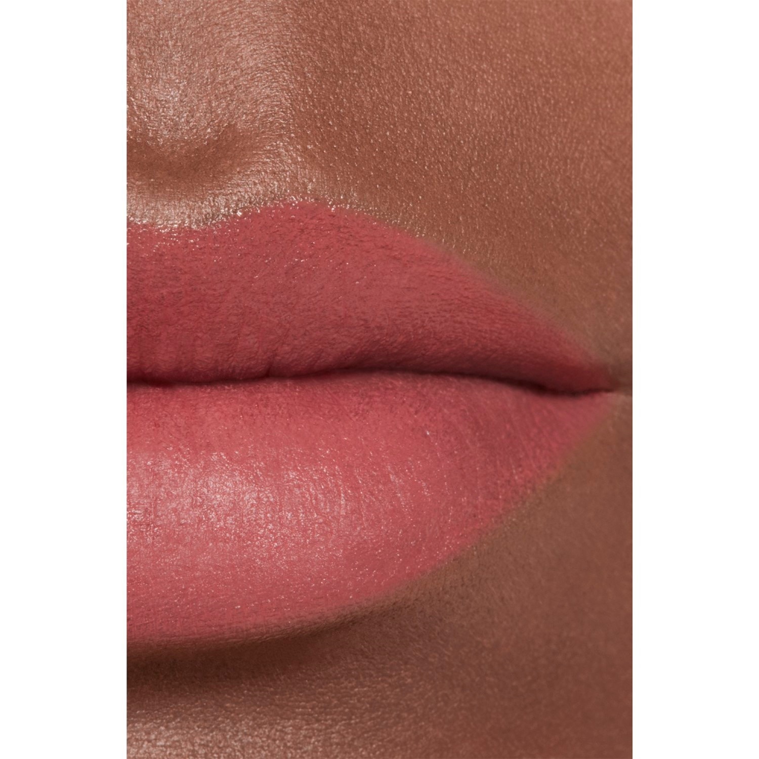LA BARRA DE LABIOS ATERCIOPELADA LUMINOSA